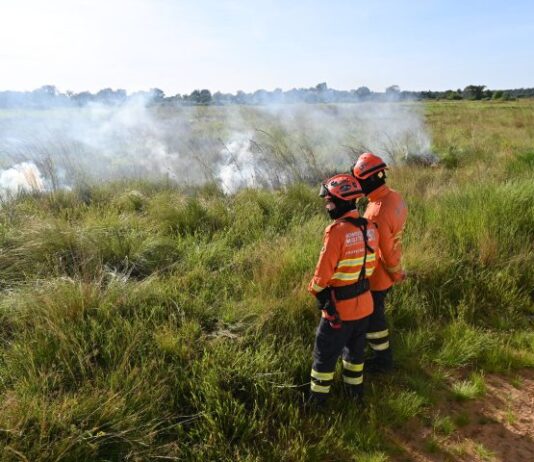 NO PANTANAL: Para proteger parque e propriedades, Governo de MS realiza ação inédita de queima prescrita