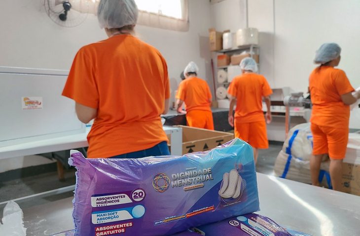 Dignidde-Mestrual-EPFIIZ-1-ok-730x480