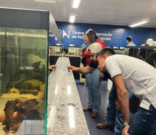 Bioparque promove turismo científico e experiência profissional para acadêmicos durante visitas técnicas