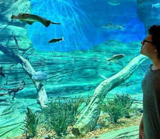 CAMPO GRANDE: Bioparque Pantanal abrirá as portas para visitantes no Dia do Trabalhador em horário especial
