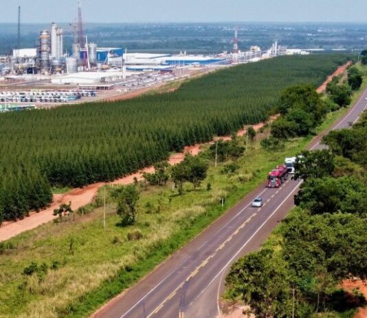 Governo de MS realiza leilão para concessão da Rota da Celulose na próxima quinta-feira