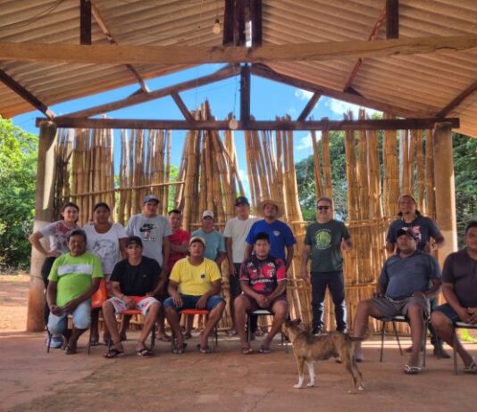 ‘Semeando o Futuro’: projeto refloresta terra Terena, valoriza cultura indígena e garante alimentos