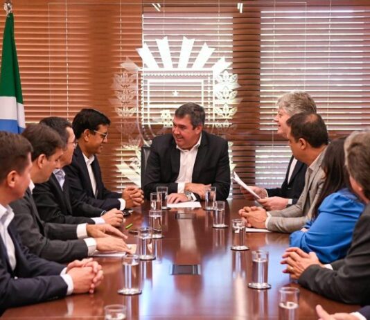 Incentivo do Governo de MS viabiliza investimento de R$ 16 bilhões em nova fábrica de celulose no Estado