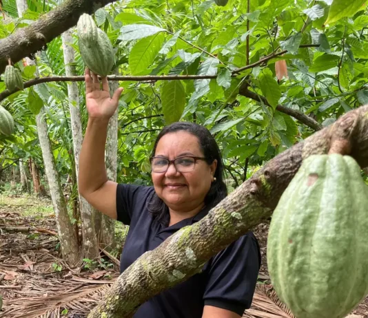 MEIO AMBIENTE: Potencial para bioeconomia atrai investimentos na Amazônia