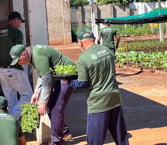 Apenados de Caarapó ingressam na horticultura e geram alimentos para instituições assistenciais