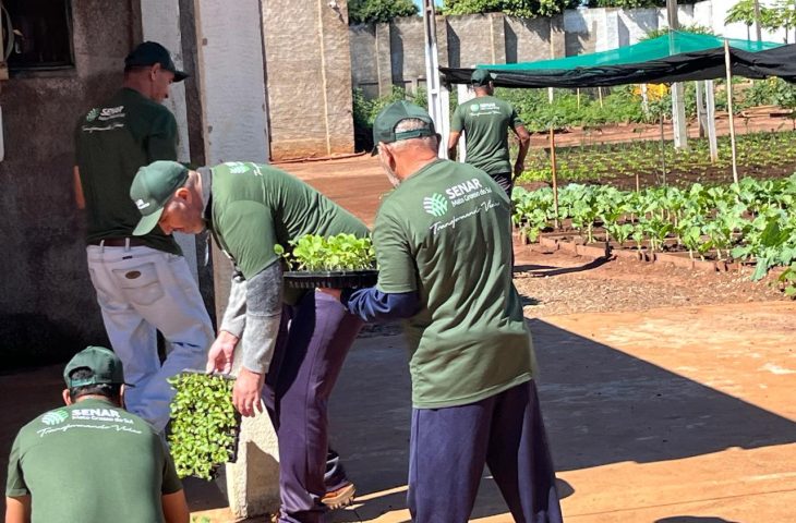 curso-horticultura-presidio-caarapo-730x480
