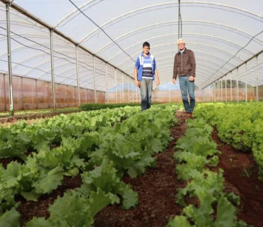 Trabalho em equipe da Agraer inspira criação de aplicativo nacional do Crédito Fundiário