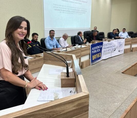 Mara Caseiro cobra justiça na BR-163 e lidera combate ao feminicídio no primeiro semestre
