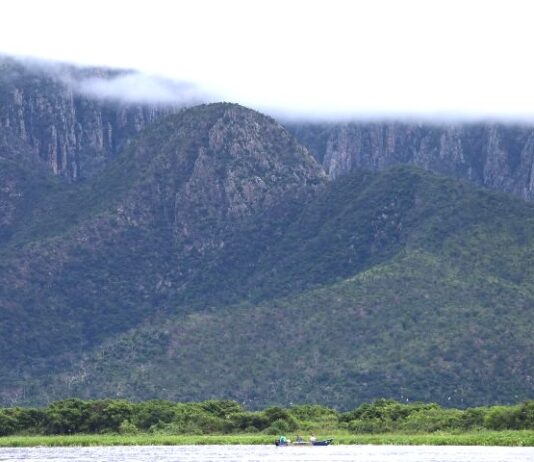 MS fortalece pauta ambiental com Fórum de Mudanças Climáticas e encontro regional em Bonito