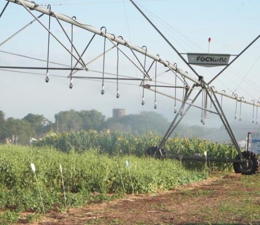 Vitrines Tecnológicas do Pantanal Tech MS trazem inovação a serviço da sustentabilidade no bioma
