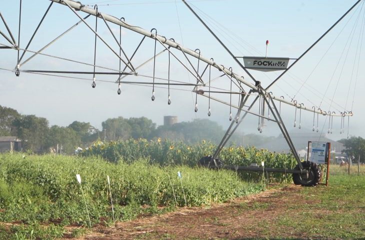C6548-frame-at-0m7s-730x480