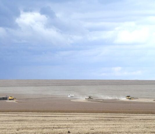 Motor de MS: agronegócio deve puxar PIB do Estado, com previsão de crescer 5,5% neste ano