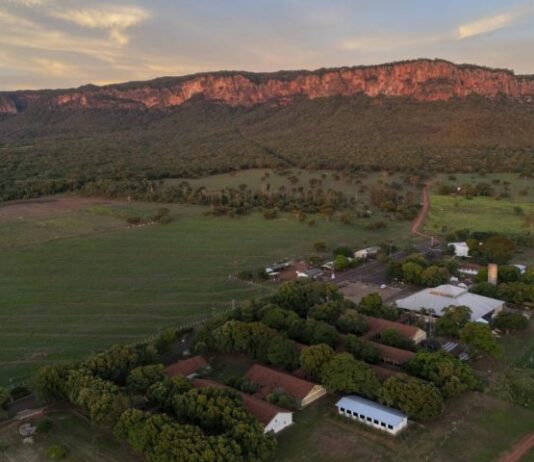 Expedição Pantanal Tech percorre o Pantanal e reforça ações sustentáveis e desenvolvimento regional