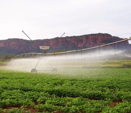 Pantanal Tech MS se consolida como vitrine do agro sustentável, fomento tecnológico e economia criativa