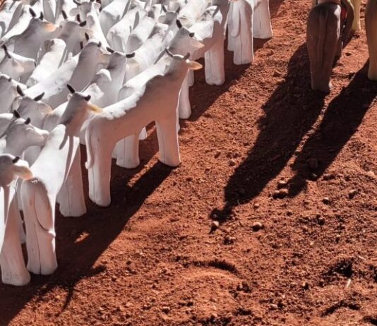 Turismo comemora seleção de artistas que retratam as belezas de MS na Bienal das Amazônias