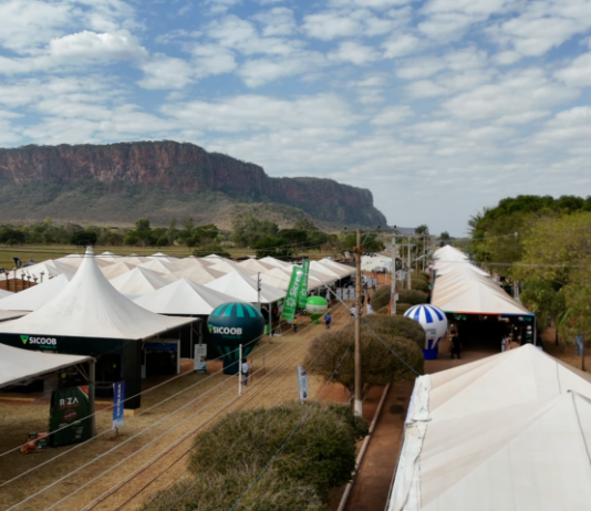 Economia criativa e agricultura familiar levam shows, feiras, cultura e informação para o Pantanal Tech MS