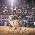 5 – Rodeio em touros (2024)
