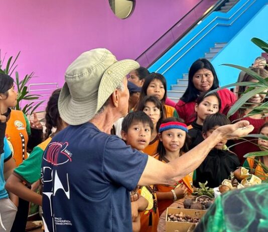 Bioparque Pantanal: espaço de sementes e frutos do Cerrado aproxima visitantes da natureza e resgata memórias