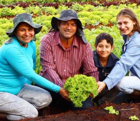 Novo recorde nas vendas da agricultura familiar é projetado após movimentação de R$ 5,1 milhões em MS