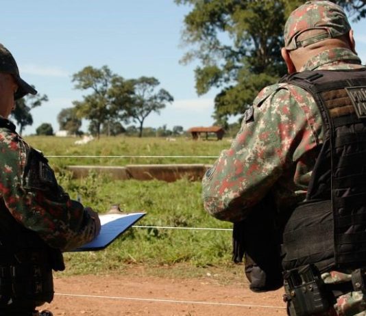 Operação Prolepse: prevenção a incêndios florestais reduz casos em áreas críticas no Estado