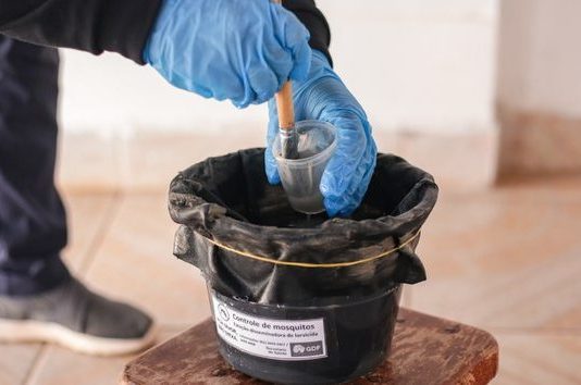 SES promove capacitação para expandir armadilhas de vigilância contra o Aedes aegypti e albopictus