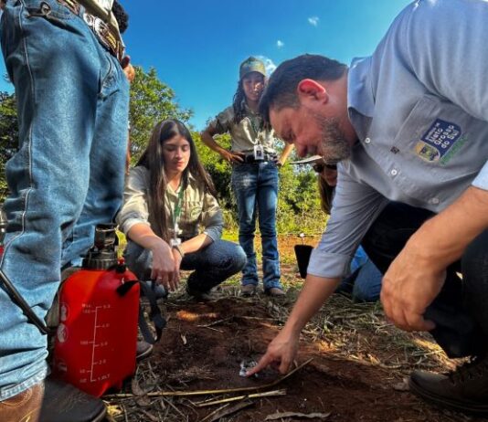 Tecnologia: sementes de inovação plantadas há um ano no Pantanal começam a dar frutos