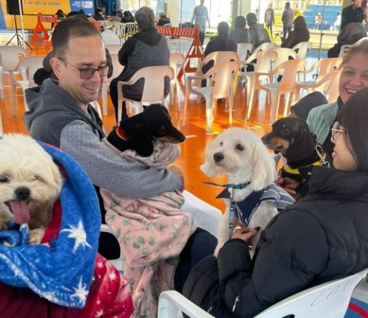 TRÊS LAGOAS: Caravana da Castração inicia segunda etapa com formação técnica para municípios