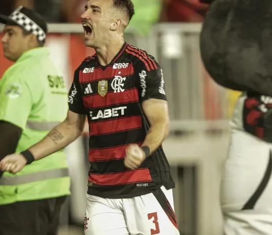 Flamengo vence o Galo e é o novo líder do Campeonato Brasileiro
