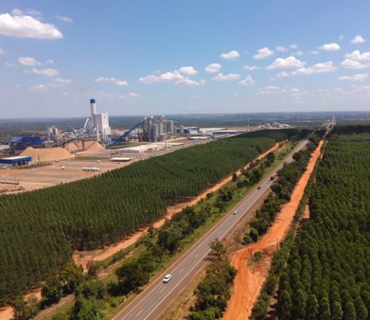 LICITAÇÃO DA ROTA DA CELULOSE: Comissão define recurso e convoca nova empresa