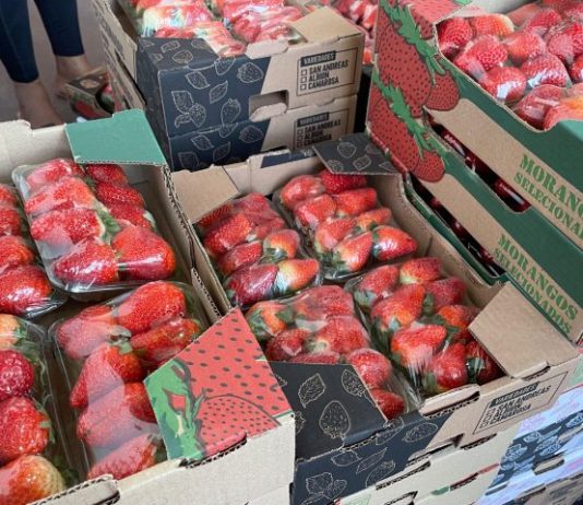 Preço do morango volta a cair, enquanto cenoura tem alta de preço na Ceasa de MS