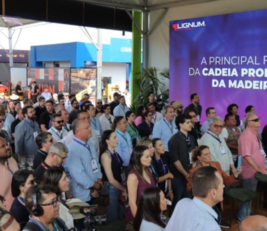 De estratégia a realidade: simplificação e visão de futuro ajudaram MS a consolidar Vale da Celulose