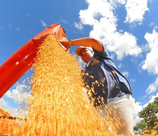 Balança comercial do Brasil tem tem o menor superávit para julho em três anos