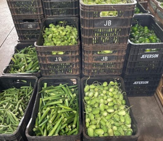 Mamão, quiabo, batata: saiba o que ficou mais barato na última semana de julho na Ceasa-MS