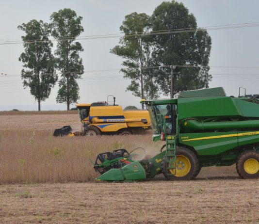 Recuperação Judicial do agro dispara 54% em Mato Grosso do Sul neste ano
