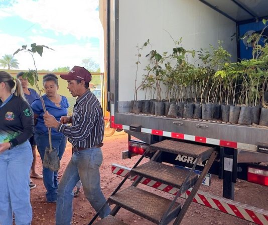 ITAQUIRAÍ: Prefeitura distribui mil mudas de árvores no Complexo Santo Antônio