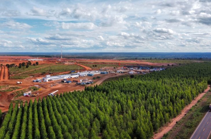 Fabrica-Industria-Arauco-Inocencia-foto-Saul-Schramm2-730x480