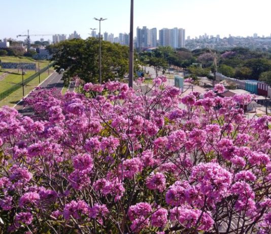Mato Grosso do Sul lança planos estratégicos de turismo para Campo Grande dos Ipês e Vale das Águas
