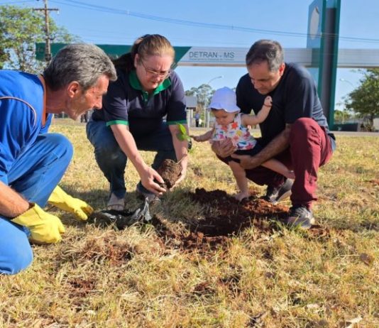 Plantio de ipês celebra 40 anos do Detran de MS e eterniza histórias de gerações