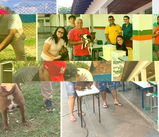 NAVIRAÍ realiza Dia D de Vacinação contra a Raiva e imuniza mais de 7 mil animais