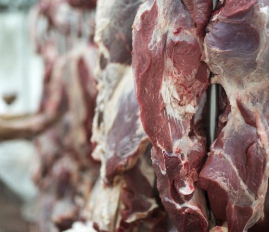 Exportações de MS somam US$ 7,24 bilhões até agosto e carne bovina cresce 43,7% no acumulado do ano