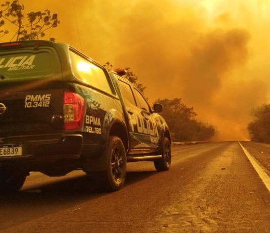 OPERAÇÃO FOCUS: combate a queimadas ilegais em MS é intensificado e multas já ultrapassam R$34 milhões