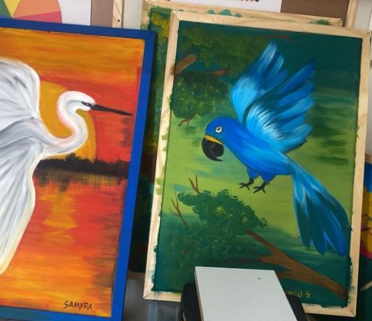 Exposição destacará arte de crianças com deficiência em exposição de telas no Bioparque Pantanal