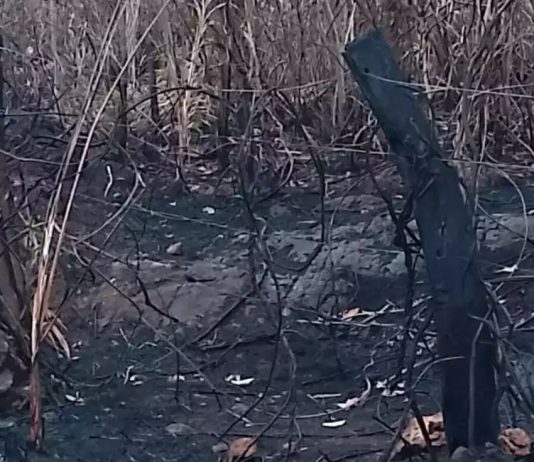 Fazendeiro é multado em R$ 1,6 milhão por incêndio que devastou 177 hectares
