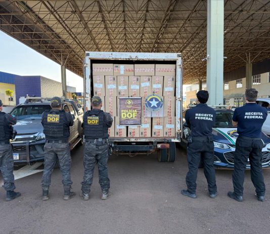 DOF e Receita Federal recuperam caminhão furtado e apreendem cigarros durante operação na fronteira