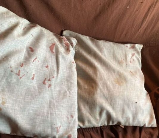 FEMINICÍDIO: mulher que matou companheira afirma que queria ‘retirar espíritos’ durante briga