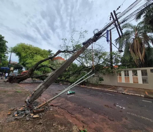 CAMPO GRANDE: tempestade inunda ruas, derruba árvores e deixa rastro de destruição