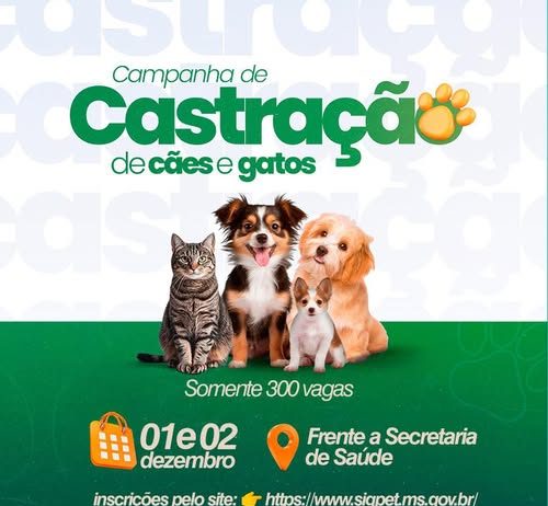 ITAQUIRAÍ: Prefeitura e Governo de MS farão mutirão de castração de cães e gatos dias 1 e 2 de dezembro