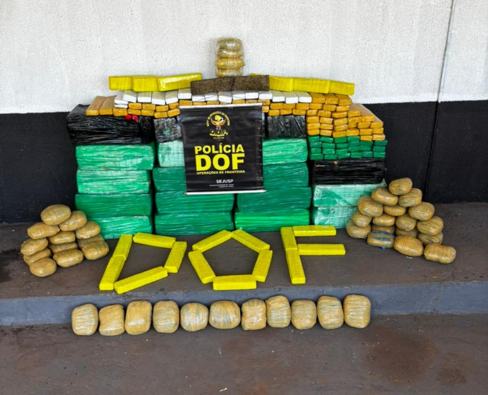 DROGAS APREENDIDAS PELO DOF