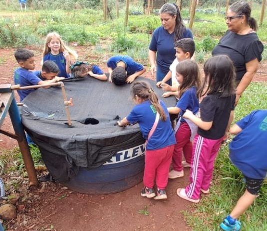 Com apoio do Governo de MS, projeto em escola rural contribui para desenvolvimento e inovação no campo