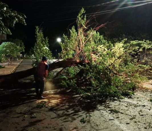 Prefeitura mobiliza força-tarefa após temporal causar estragos em Dourados